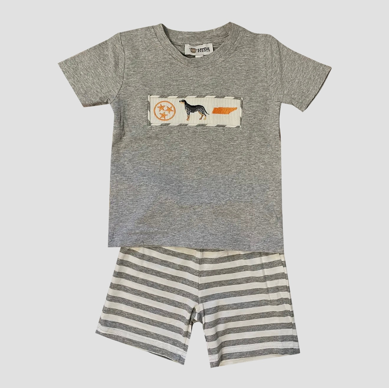 Tennessee Smocked T Shirt and Striped Short set