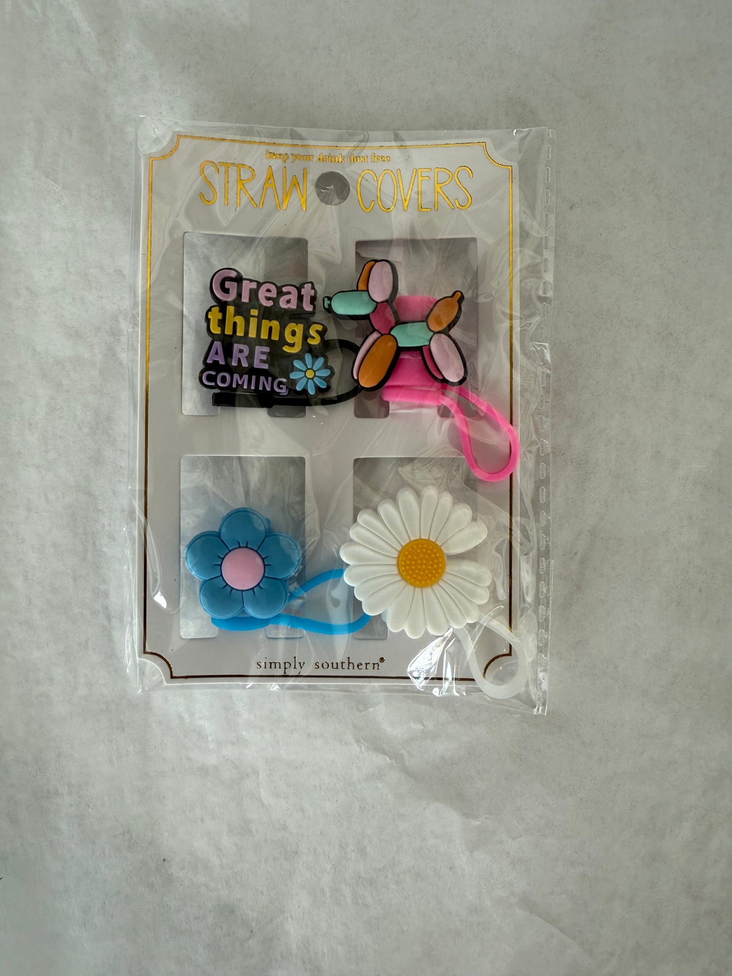 SS Straw Cover Set