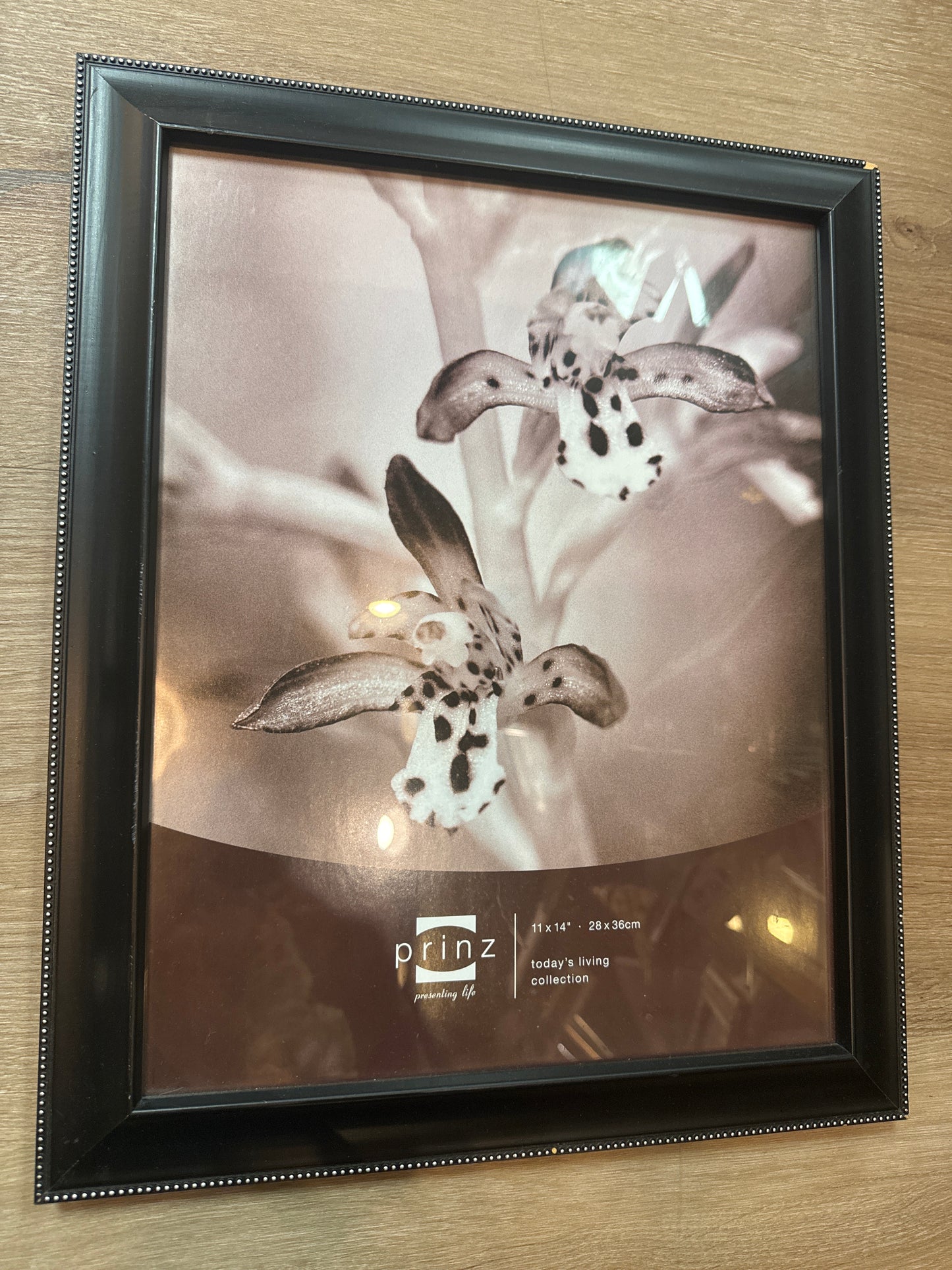 Frame XL 11” x 14”