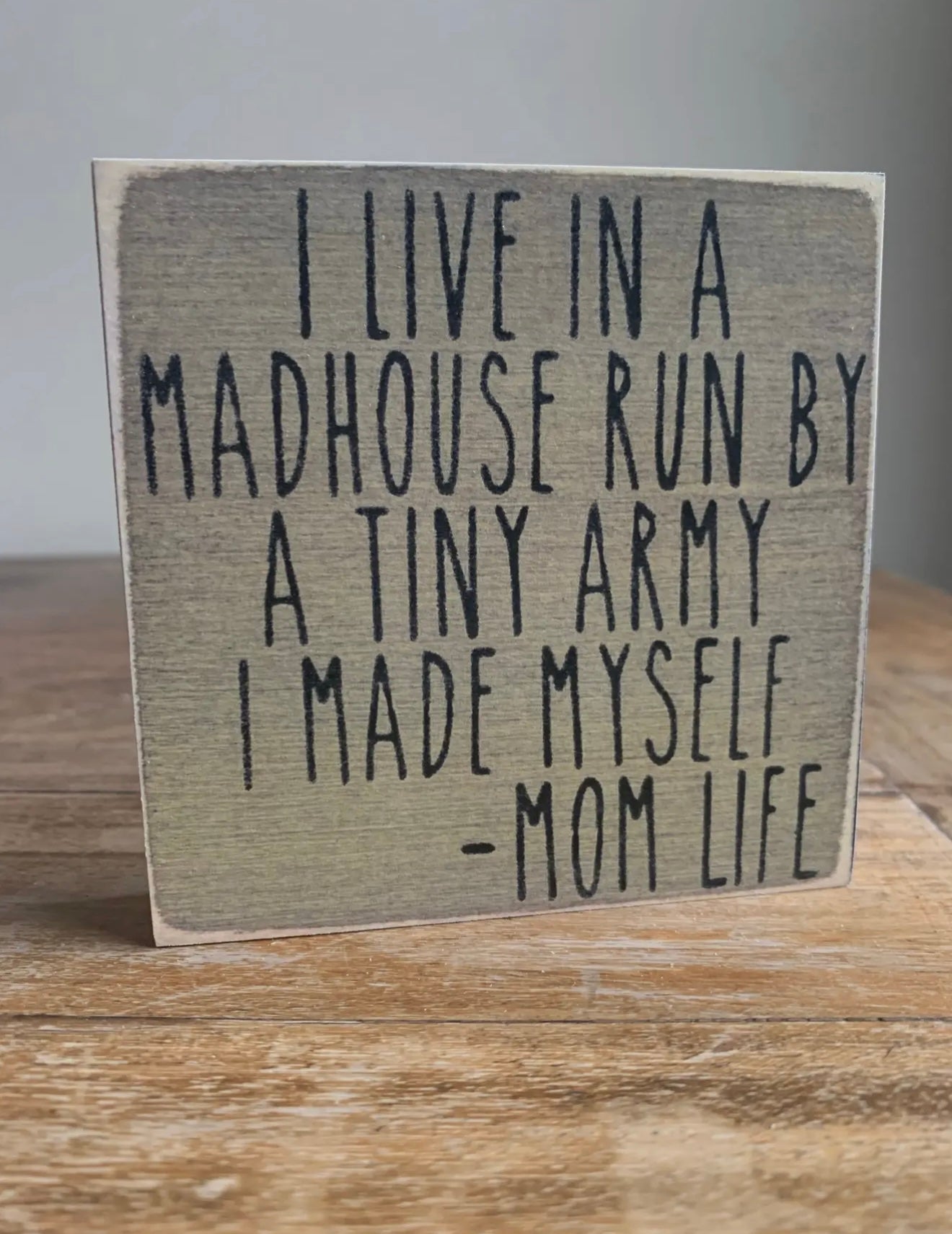 I Live In A Madhouse…block sign