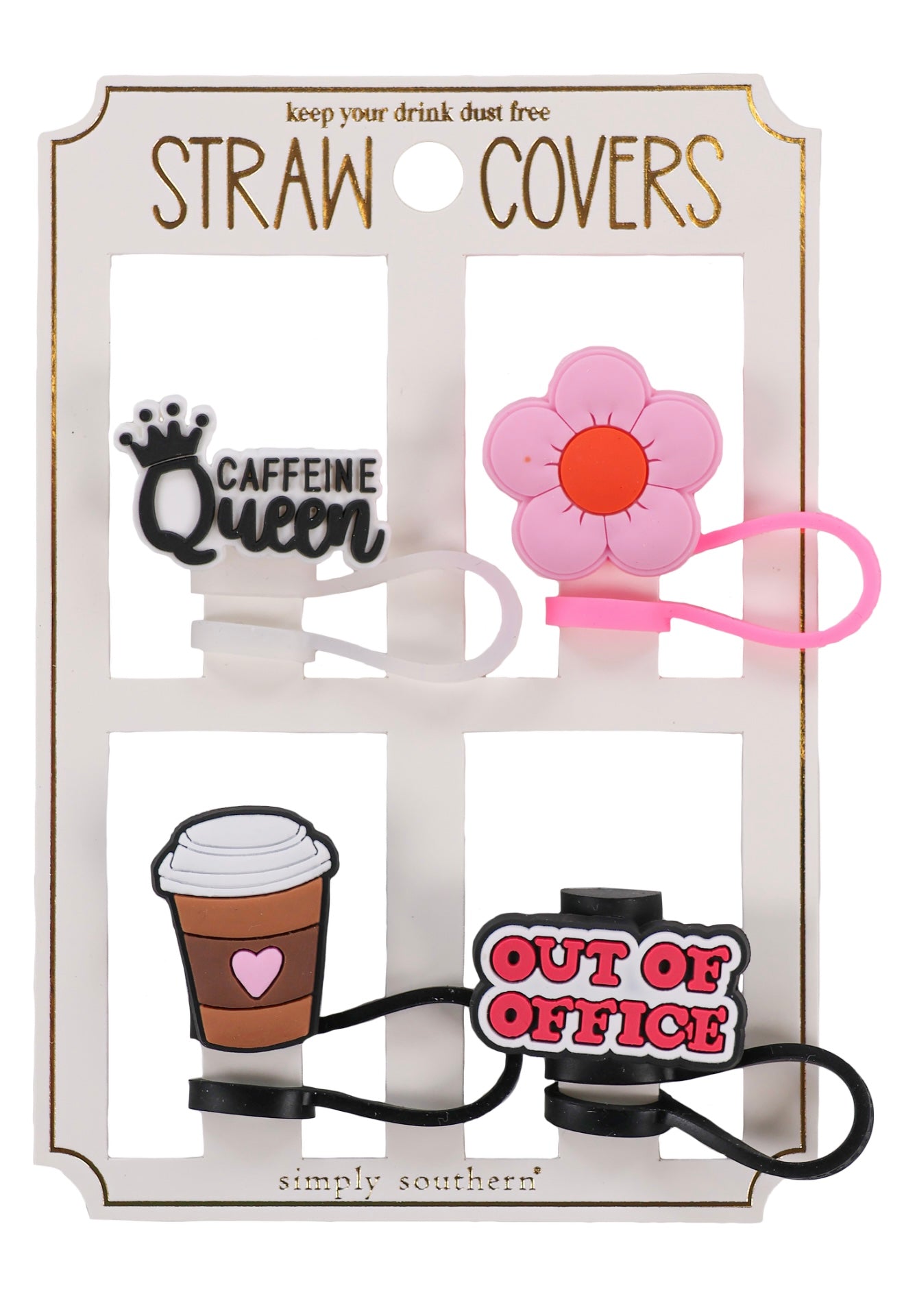 SS Straw Cover Set
