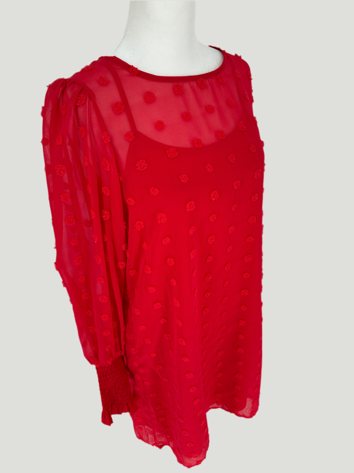 Swiss Dot Dress with Slip Included
