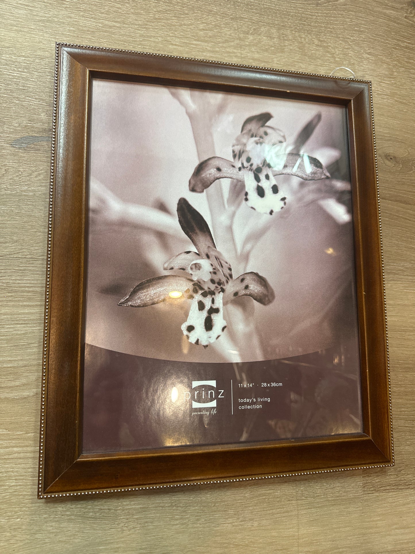 Frame XL 11” x 14”