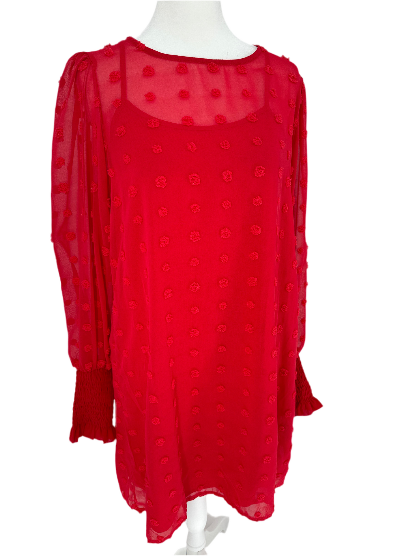 Swiss Dot Dress with Slip Included