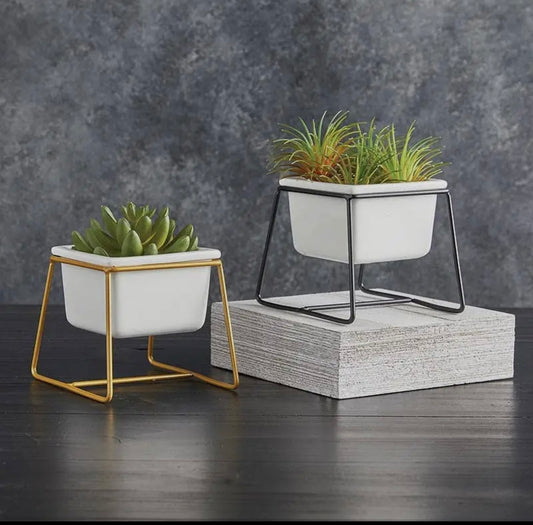 White Pot with Gold Stand