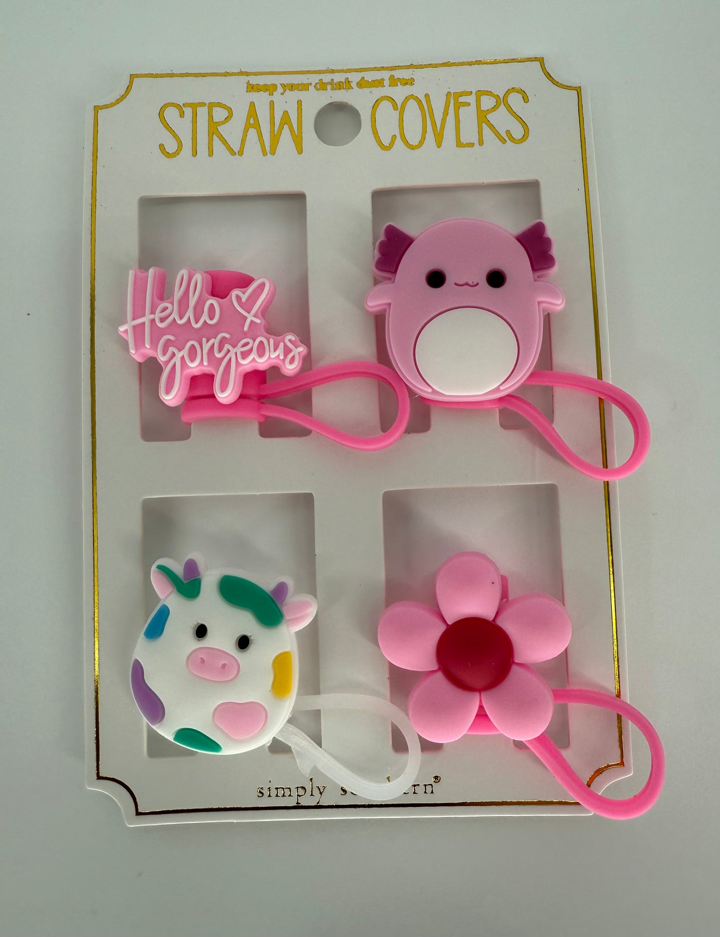 SS Straw Cover Set