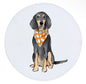 TNSC Tennessee Smokey Dog Marble Coaster