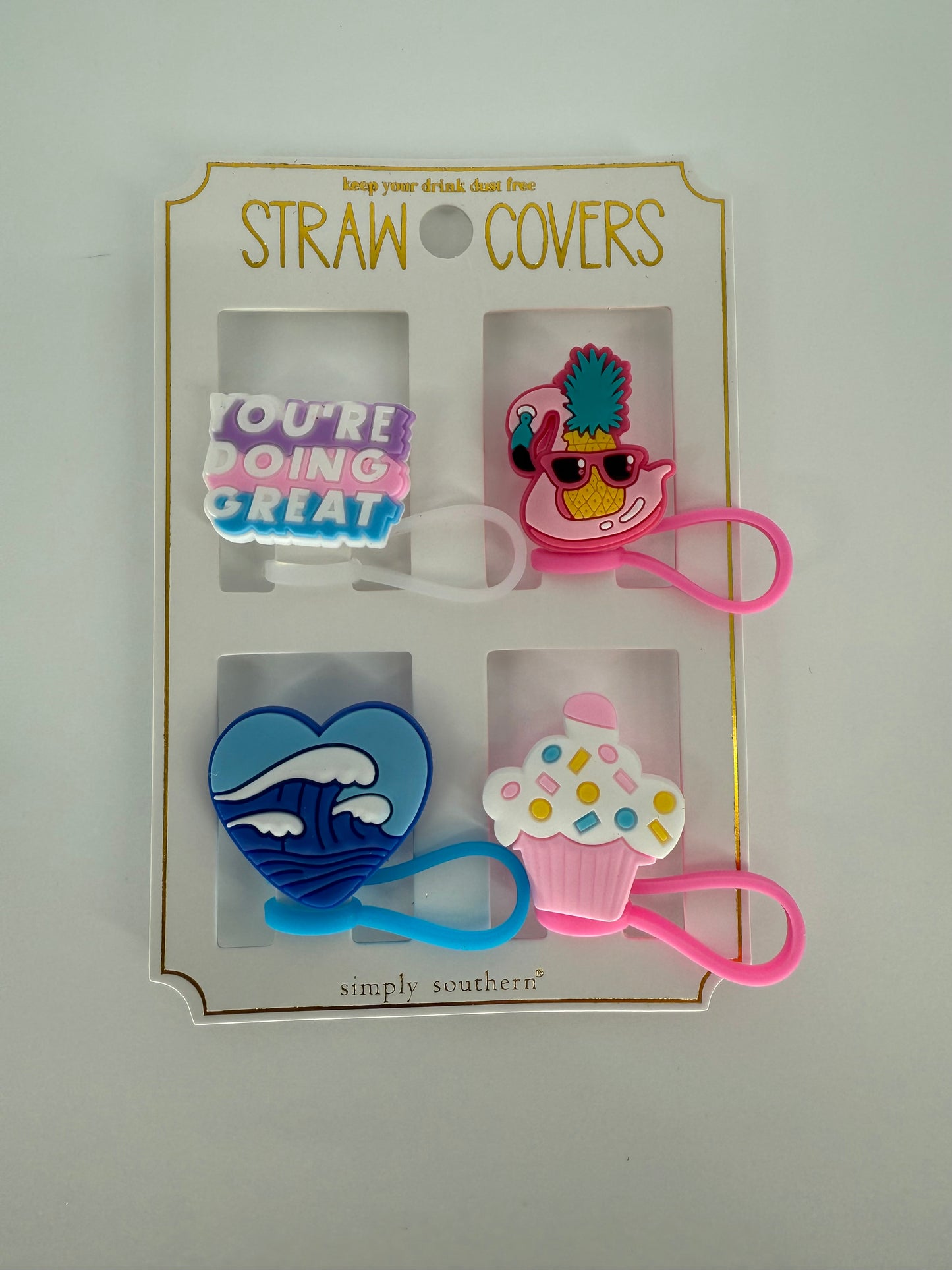 SS Straw Cover Set