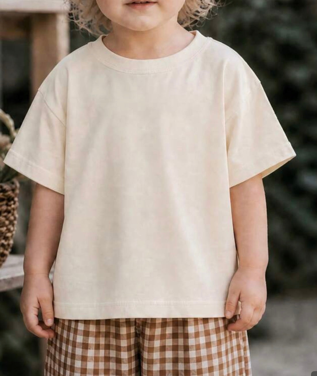 GS1 Striped Goose T Shirt