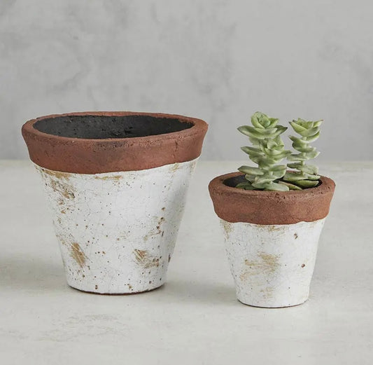 Terracotta Pot with White Accent