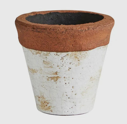 Terracotta Pot with White Accent