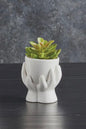 White Hand Held Planter
