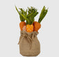 Burlap Bag of Carrots