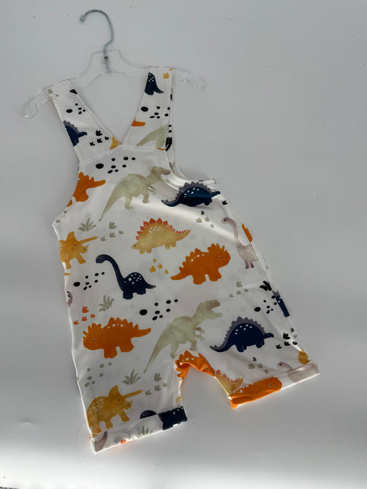 Dinosaur Print Boy Overall Romper