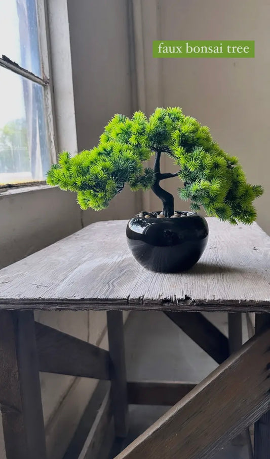 Bonsai tree 14x9x10.5