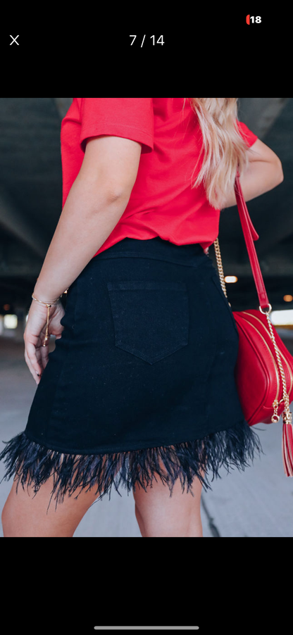 Black Mini Skirt with fun “feather” fringe