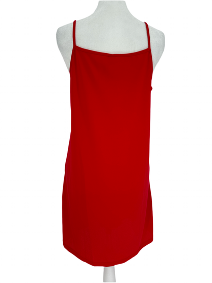 Swiss Dot Dress with Slip Included