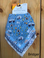 Bandana Bibs | Copper Pearl